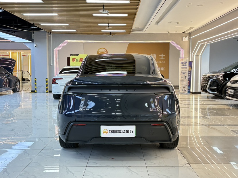 Tesla Model Y 2025 #4 Tesla Model Y 2025 immagine di auto #4