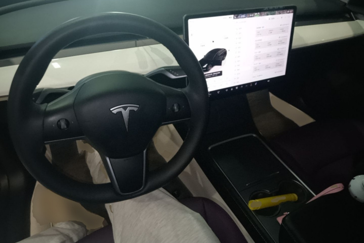 Tesla Model 3 2023 #10 Tesla Model 3 2023 immagine di auto #10
