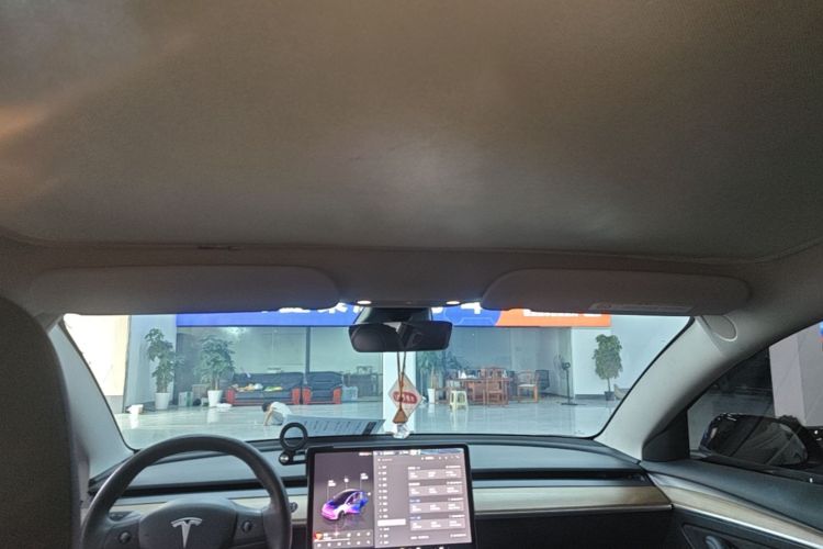 Tesla Model 3 2023 car image #18