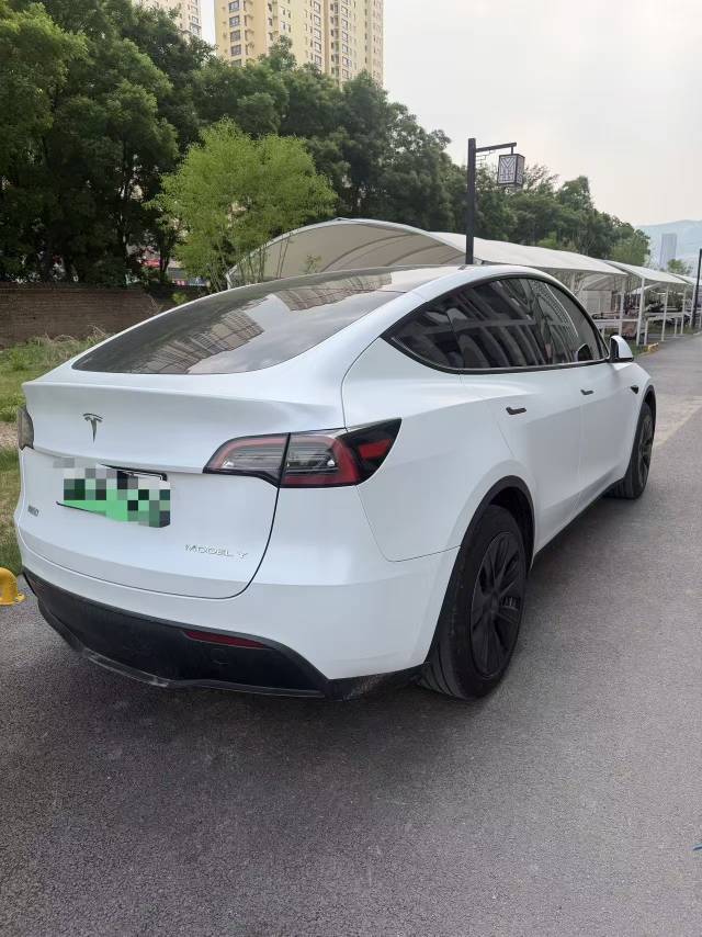 Tesla Model Y 2023 #6 Tesla Model Y 2023 car image #6