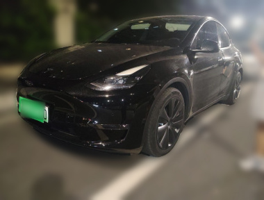 Tesla Model Y 2021 car image 