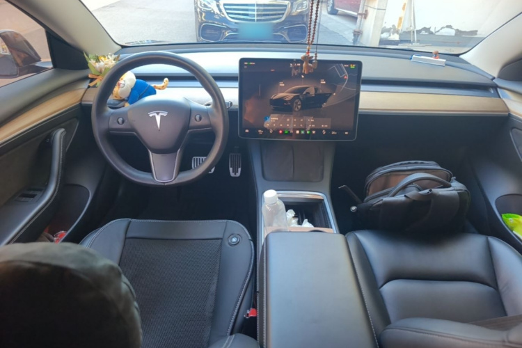 Tesla Model 3 2022 car image #10