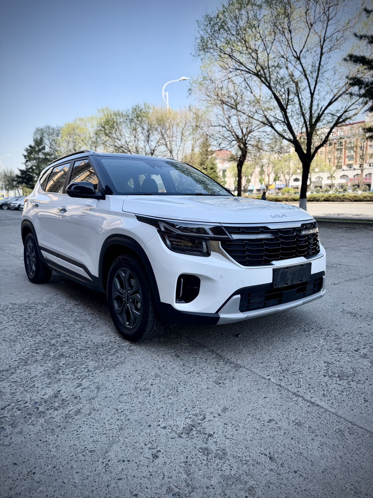 Kia Seltos 2023 image de voiture #3