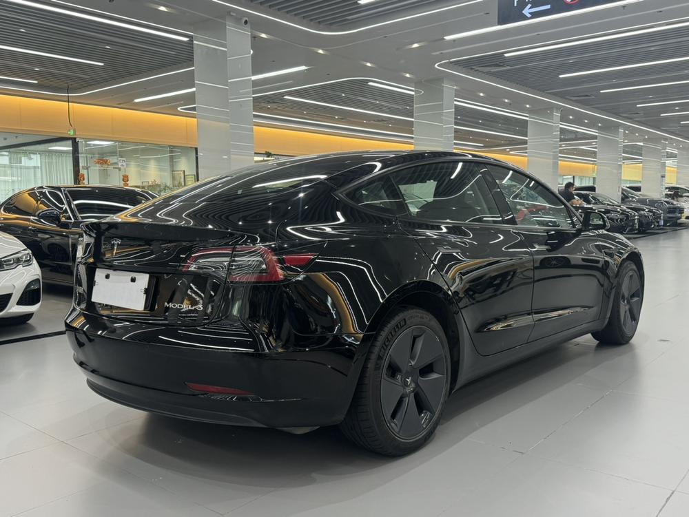 Tesla Model 3 2021 car image #6