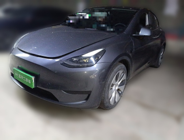Tesla Model Y 2022 car image 