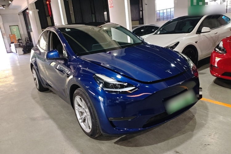 Tesla Model Y 2021 #4 Tesla Model Y 2021 صورة سيارة #4