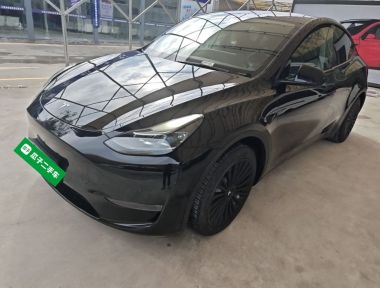 Tesla Model Y 2021 Tesla Model Y 2021 car image