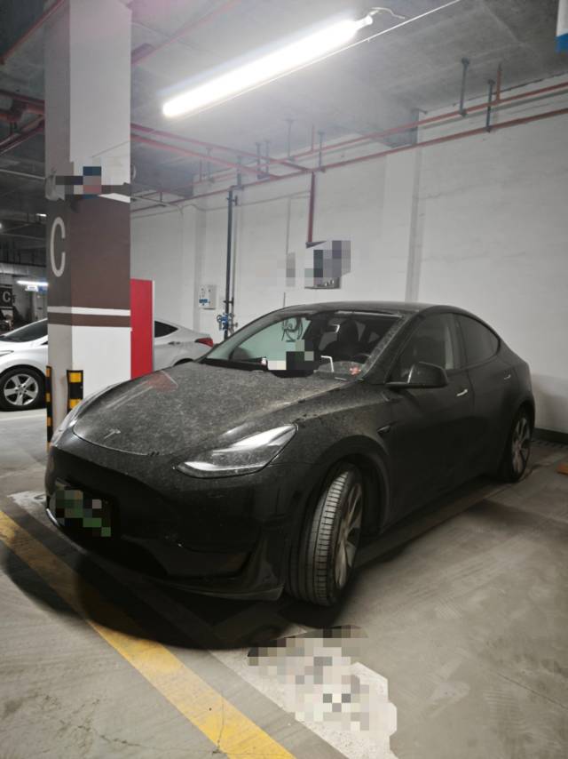 Tesla Model Y 2023 car image 