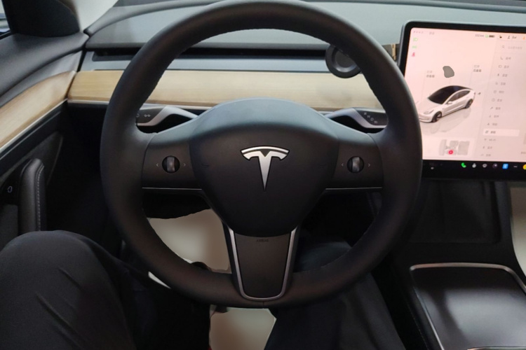 Tesla Model 3 2022 immagine di auto #11
