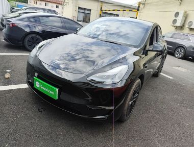 Tesla Model Y 2024 Tesla Model Y 2024 car image