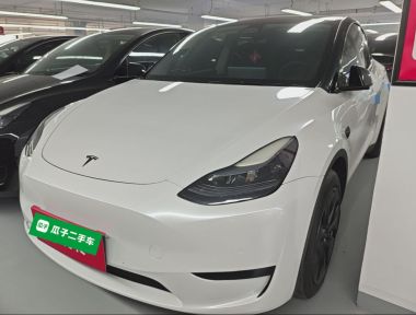 Tesla Model Y 2024 immagine di auto 
