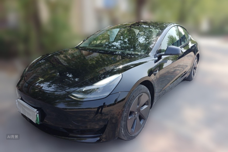 Tesla Model 3 2023 #2 Tesla Model 3 2023 car image #2