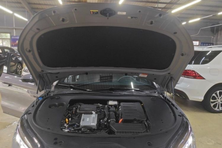 BYD Han 2024 car image #22