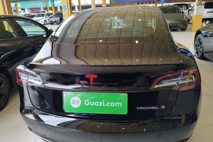 Tesla Model 3 2020 car image #6