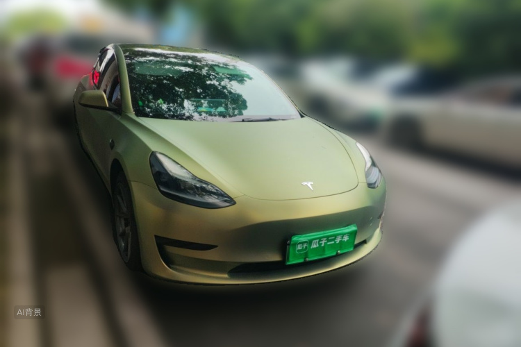 Tesla Model 3 2021 car image #3