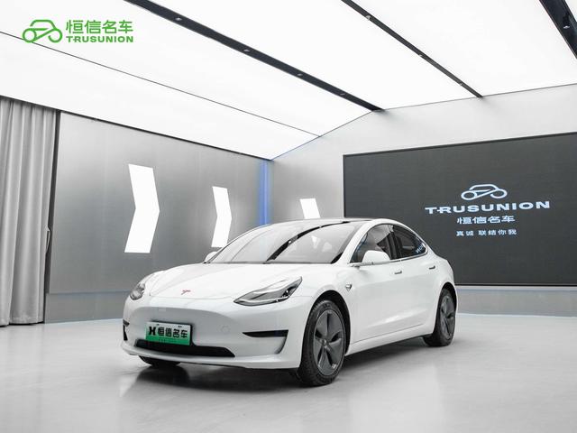 Tesla Model 3 2020 car image #22