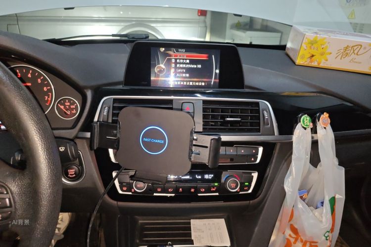 BMW 3 Series 2016 car image #15