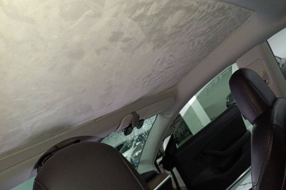 Tesla Model 3 2020 #20 Tesla Model 3 2020 car image #20