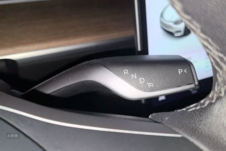 Tesla Model Y 2021 car image #16