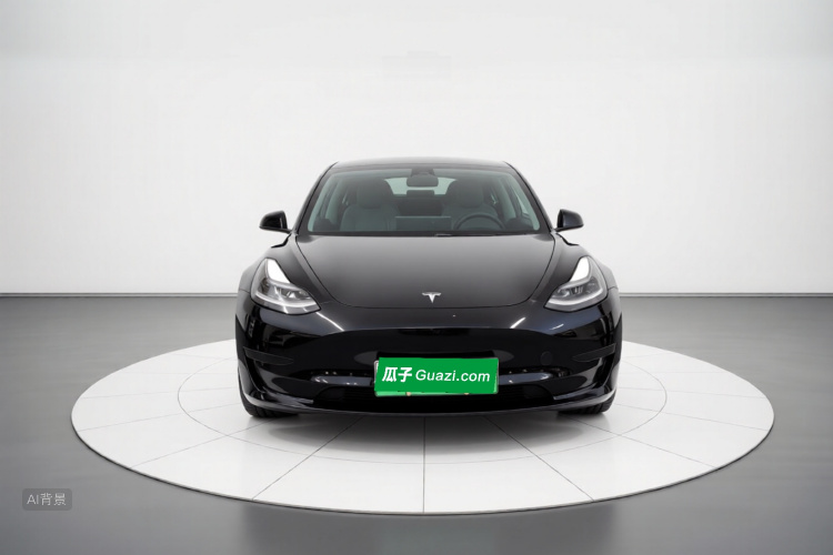 Tesla Model 3 2021 #3 Tesla Model 3 2021 car image #3