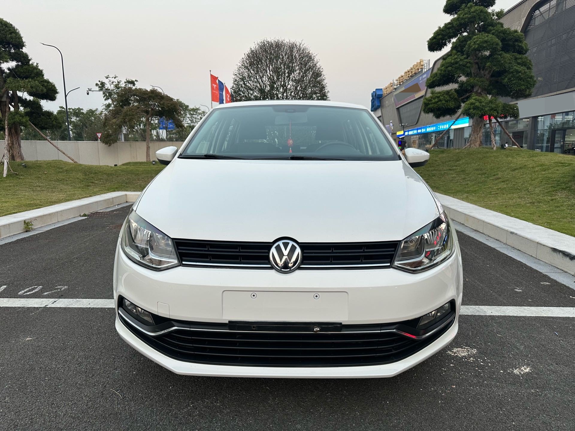 Volkswagen Polo 2015 immagine di auto #2