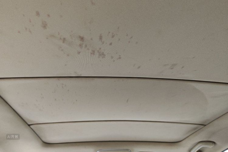 GEELY Emgrand GS 2018 car image #20