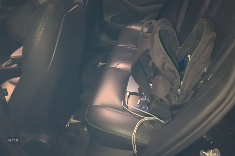Tesla Model 3 2021 imagem de carro #19