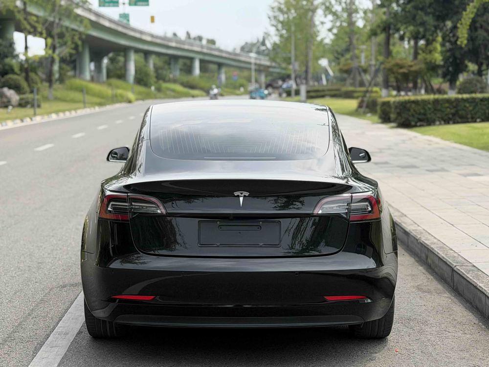 Tesla Model 3 2020 #5 Tesla Model 3 2020 car image #5
