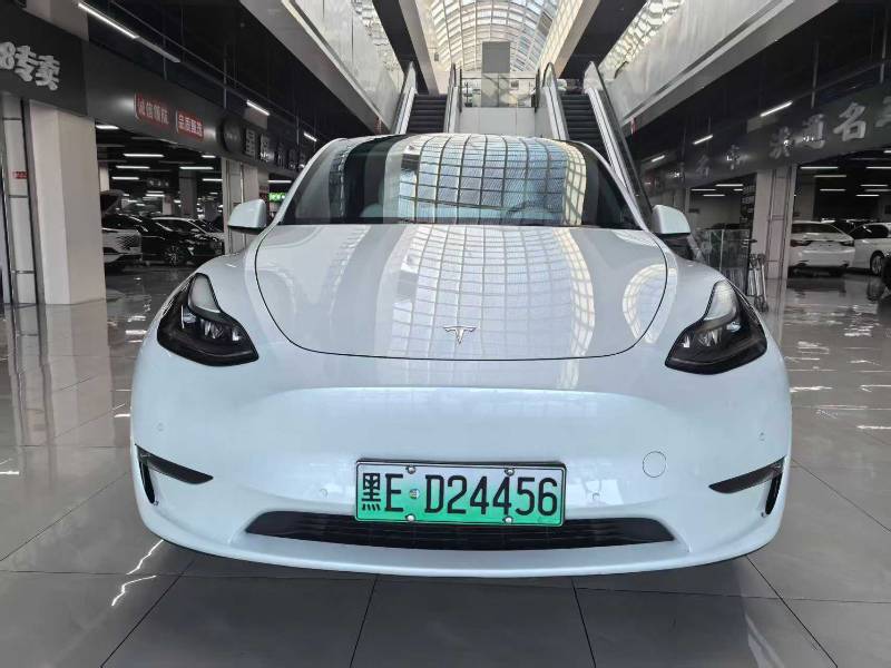 Tesla Model Y 2021 car image #2