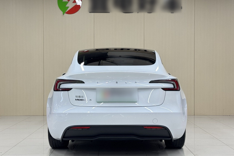 Tesla Model 3 2024 car image #6