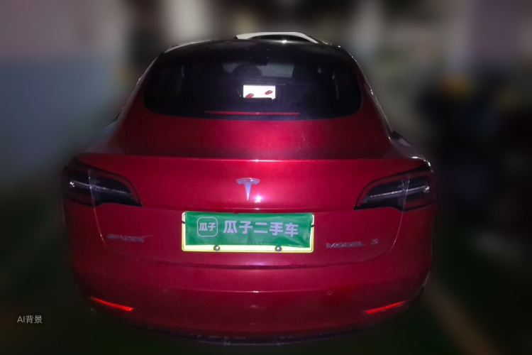 Tesla Model 3 2020 car image #6