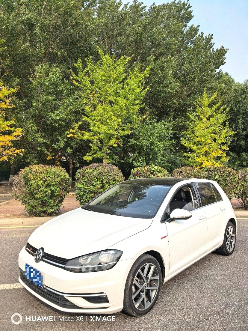 Volkswagen Golf 2019 Volkswagen Golf 2019 car image