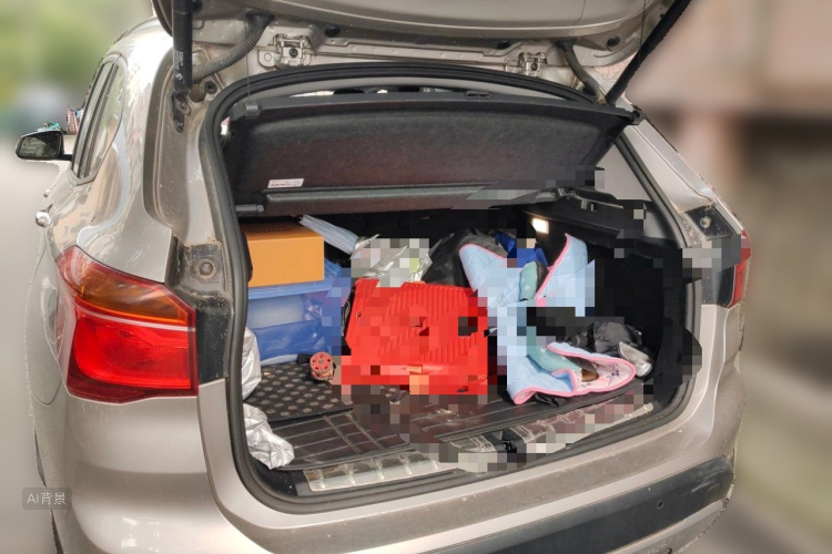 BMW X1 2016 car image #21