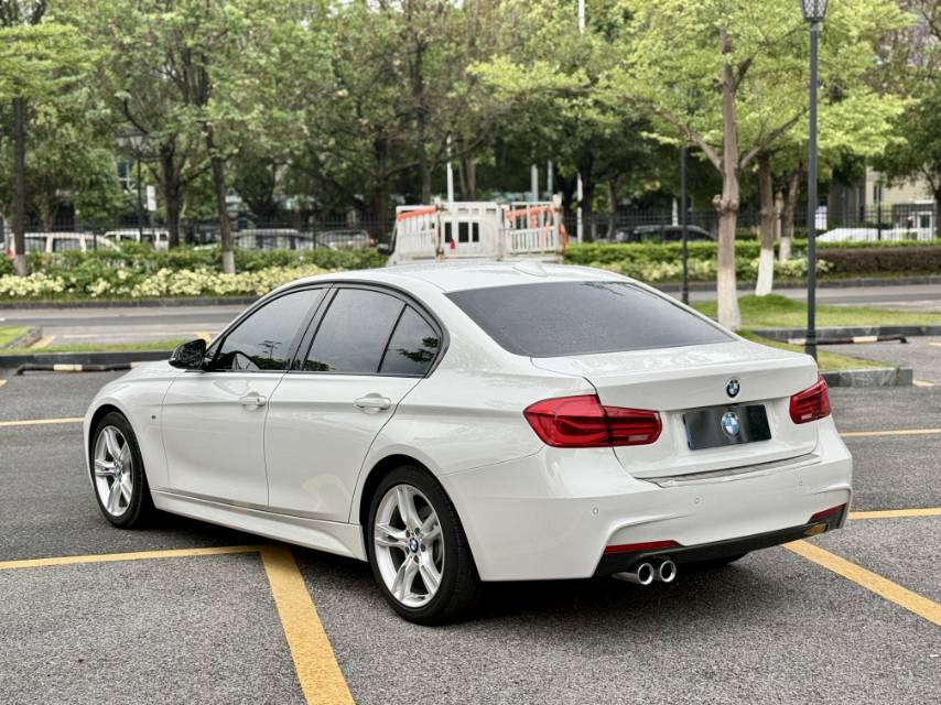 BMW 3 Series 2018 car image #11