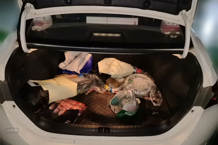 Toyota Corolla 2017 car image #21