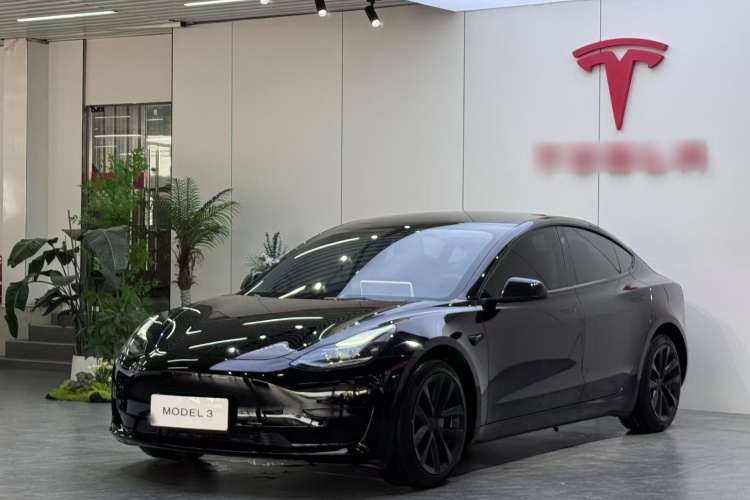 Tesla Model 3 2023 #2 Tesla Model 3 2023 car image #2