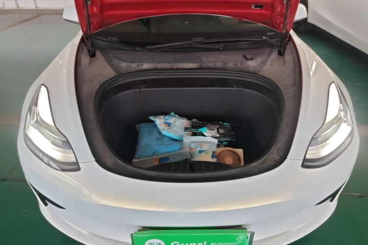Tesla Model 3 2020 car image #20