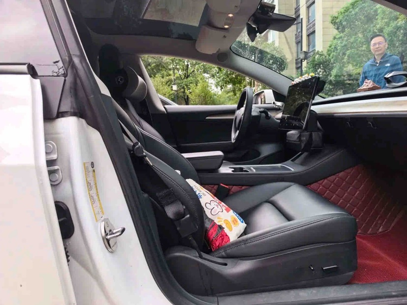 Tesla Model 3 2022 car image #8