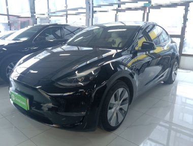 Tesla Model Y 2021 car image 