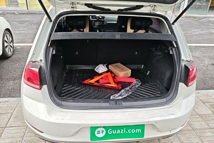 Volkswagen Golf 2019 car image #19