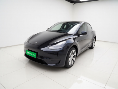 Tesla Model Y 2023 Tesla Model Y 2023 car image