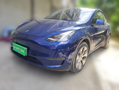 Tesla Model Y 2021 Tesla Model Y 2021 car image