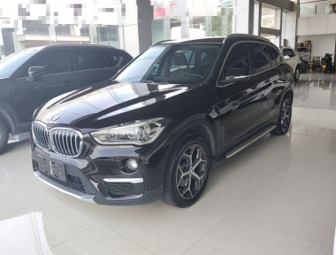 BMW X1 2019 car image 
