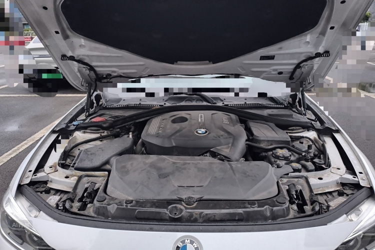 BMW 3 Series 2017 car image #22
