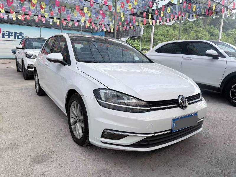 Volkswagen Golf 2019 Volkswagen Golf 2019 car image