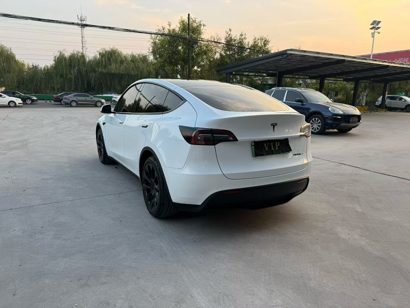 Tesla Model Y 2023 #6 Tesla Model Y 2023 car image #6