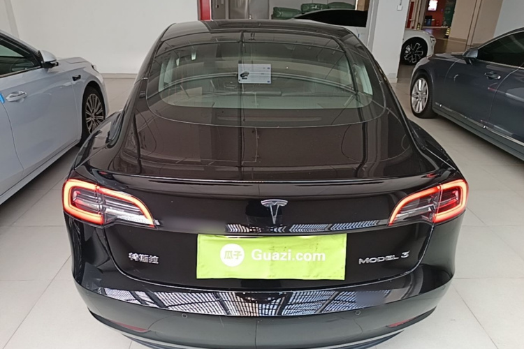 Tesla Model 3 2020 car image #6