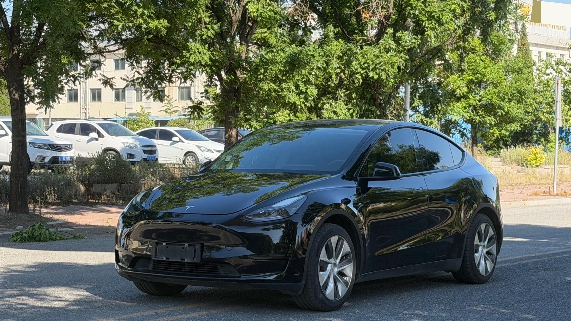 Tesla Model Y 2022 Tesla Model Y 2022 car image