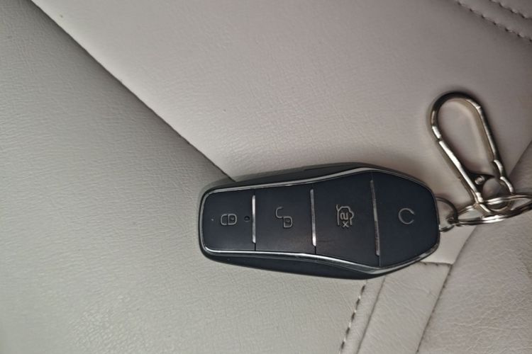 BYD Yuan Pro 2022 #9 BYD Yuan Pro 2022 immagine di auto #9