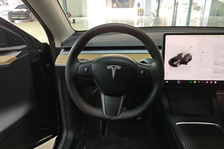 Tesla Model Y 2022 car image #15